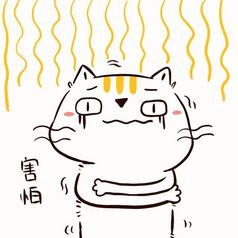 白色小猫嗨起来动态表情包
