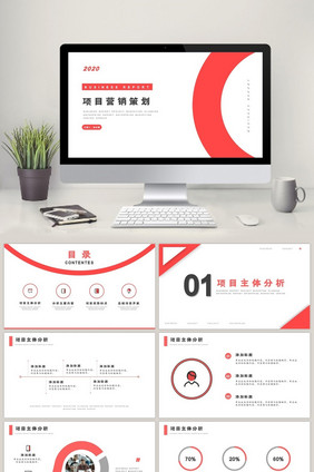 企业项目分析汇报商业分析报告PPT模板