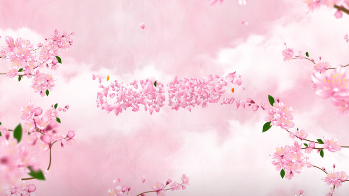 美丽的粉色樱花logo揭示开场AE模板