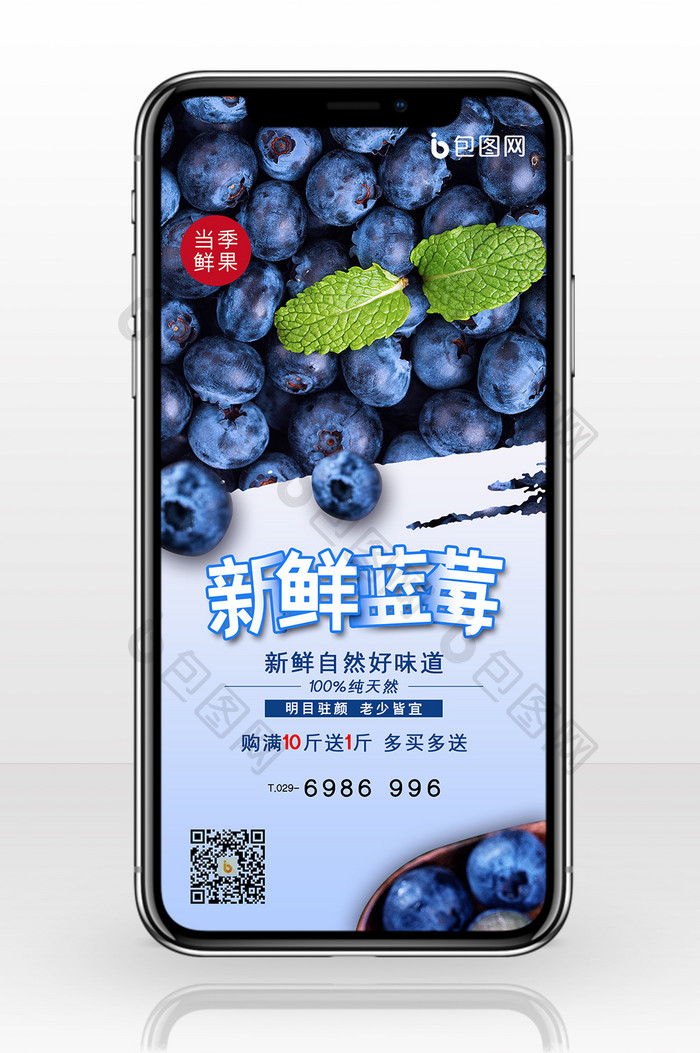简约新鲜蓝莓手机配图