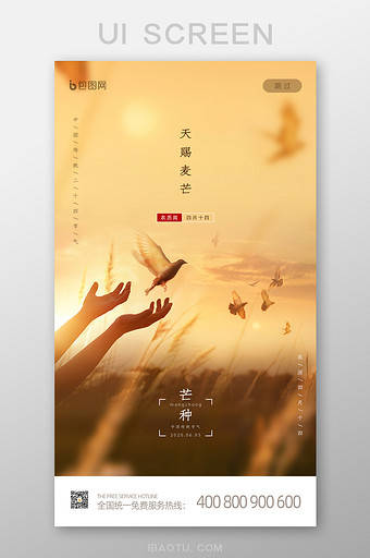 简约意境中国传统节气芒种启动页闪屏设计图片
