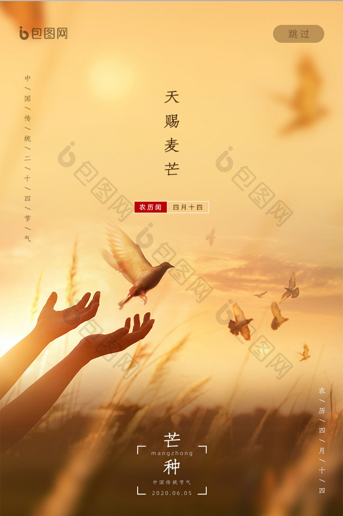 简约意境中国传统节气芒种启动页闪屏设计
