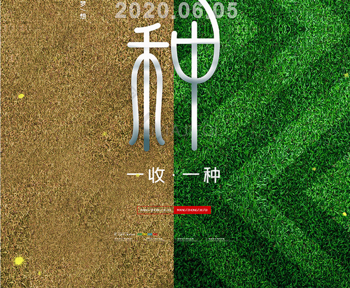 简约芒种节气海报传统24节气芒种宣传海报