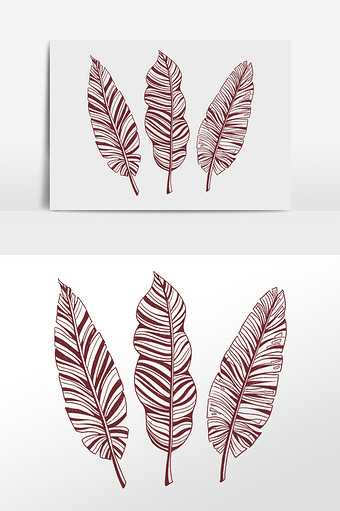 芭蕉叶叶子热带植物