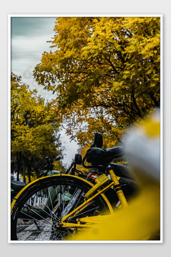 秋天秋色城市单车郊外风景摄影图片
