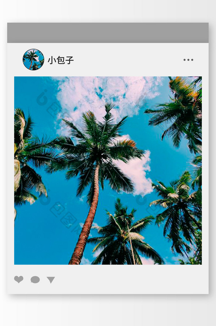 蓝色调天空下的椰子树头像