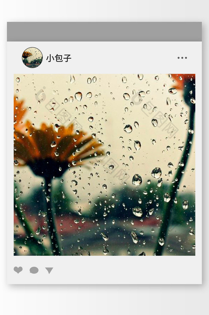 清新雨中的黄花头像