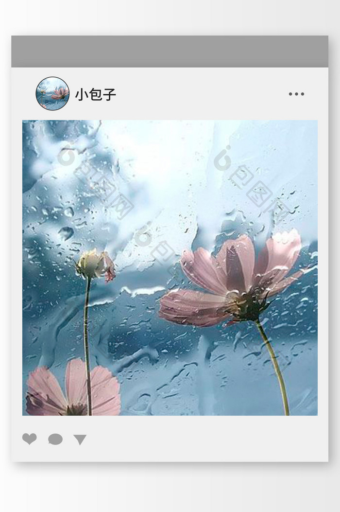 蓝色调雨中的花朵头像