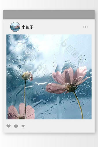 蓝色调雨中的花朵头像图片