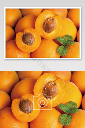 横版拍摄切半杏子薄荷叶图片