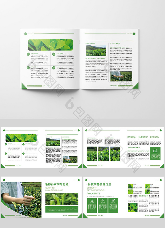 绿色高端茶叶产品画册