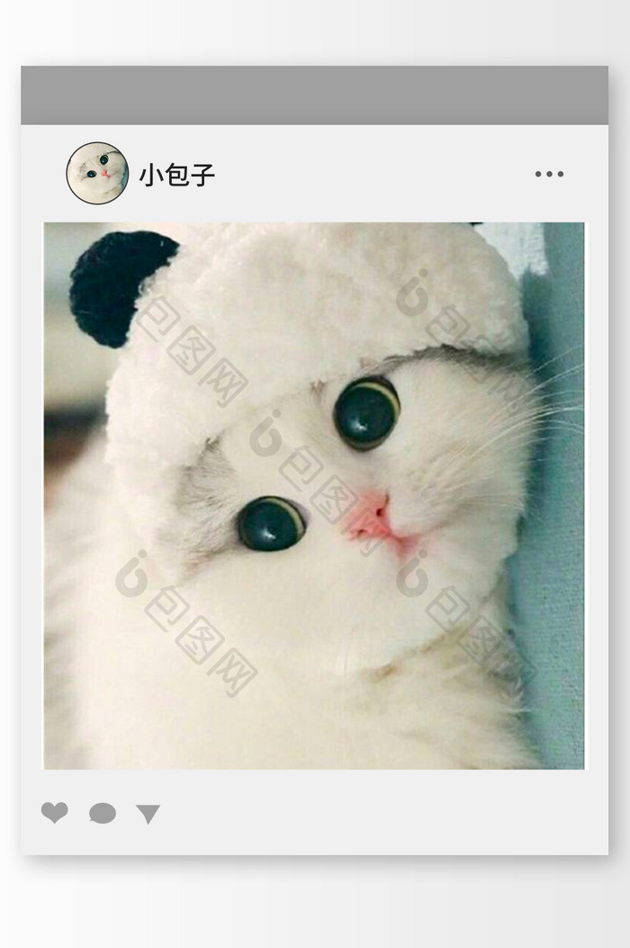 清新可爱的小猫头像