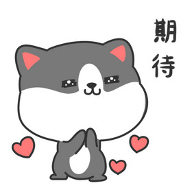 可爱灰色哈士奇期待动态表情包gif