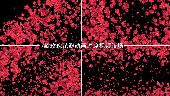 7款玫瑰花瓣动画过渡视频转场效果视频素材