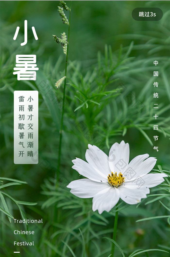 小暑传统24节气手机启动页