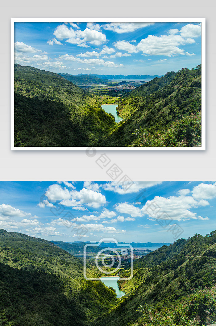 蓝天白云下的丛林摄影图片图片