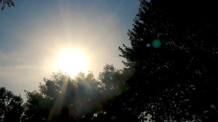 逆光实拍夏季烈日光芒太阳