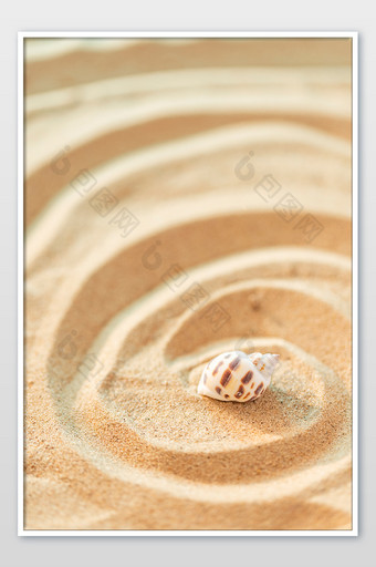 创意沙滩海螺夏季图片夏日海报图片