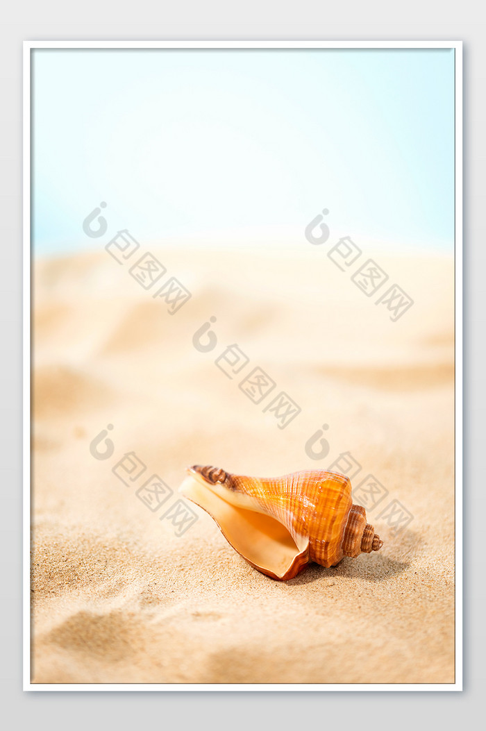 夏日海报创意沙滩海边海螺图片图片
