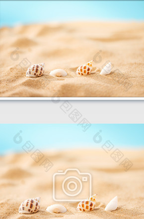 夏日海边创意贝壳海螺夏天图片
