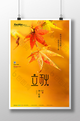 简约黄色枫叶立秋传统节日图片