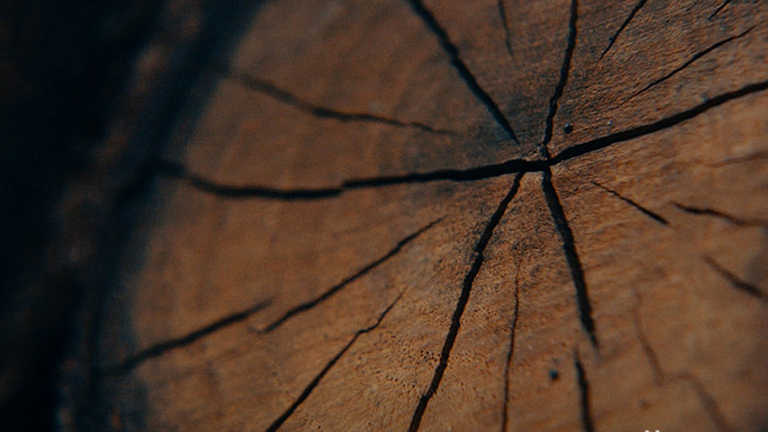 实拍木质纹理裂纹裂缝视频素材