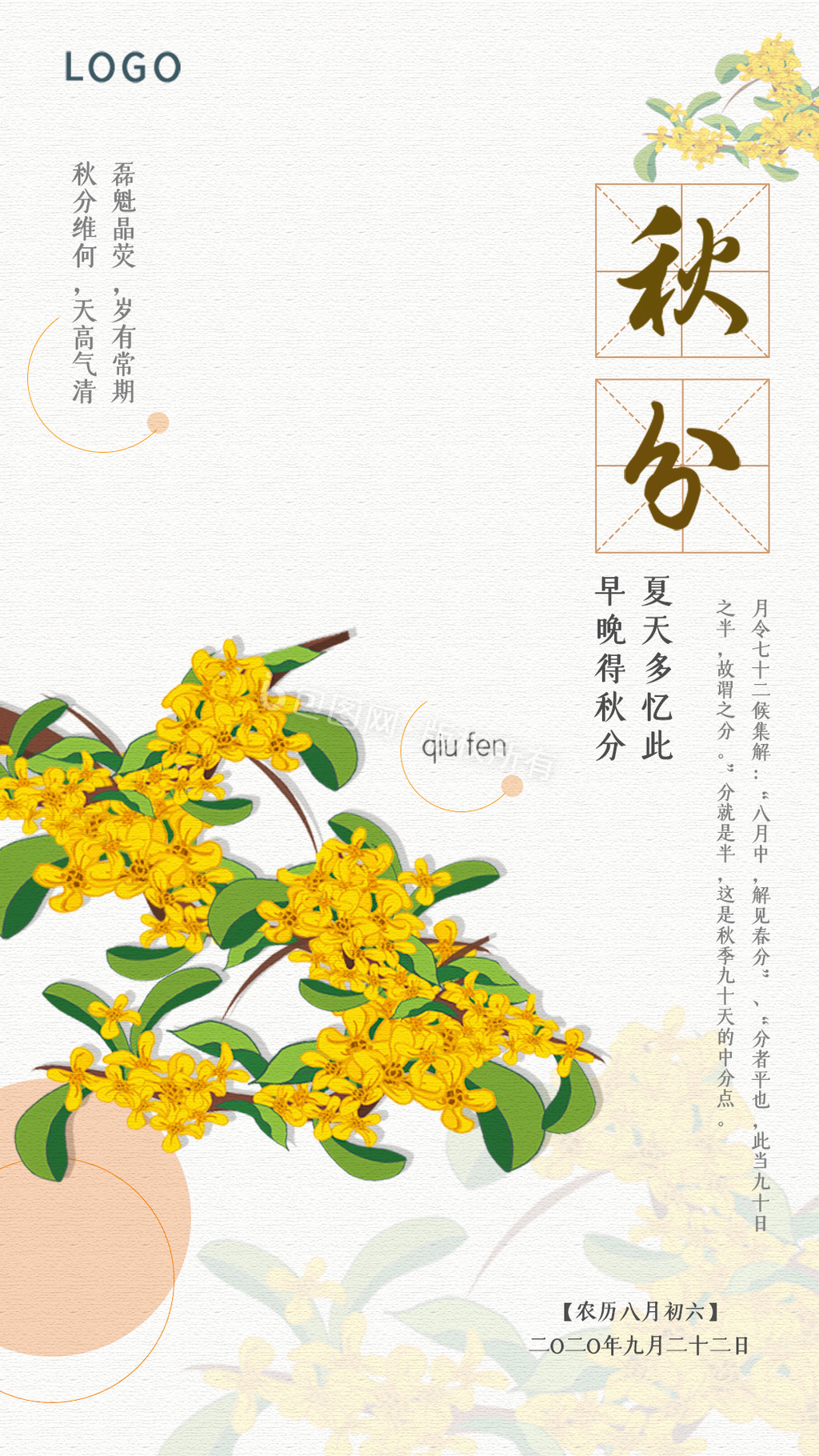 简约二十四节气秋分中国风菊花动图GIF图片