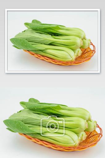 油菜花田图片大全下载-包图网