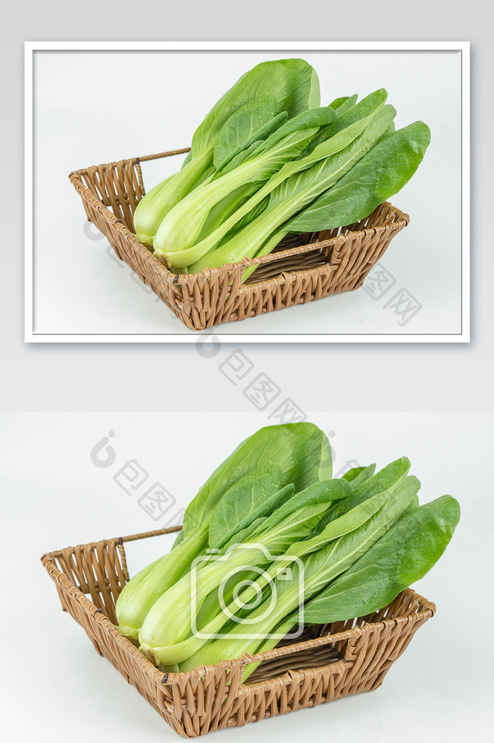 绿色蔬菜小油菜高清摄影图