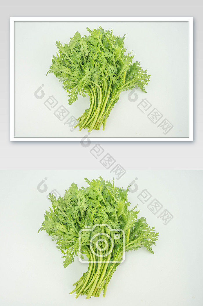 新鲜蔬菜茼蒿食材摄影图