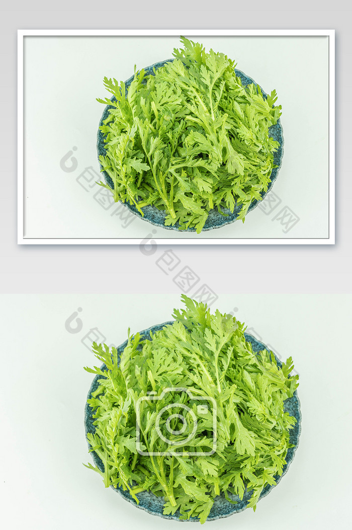 新鲜蔬菜茼蒿摄影图图片图片
