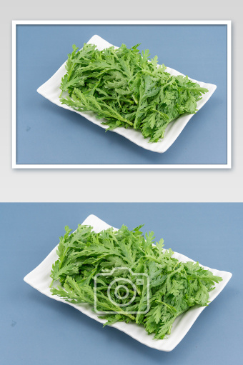 茼蒿图片