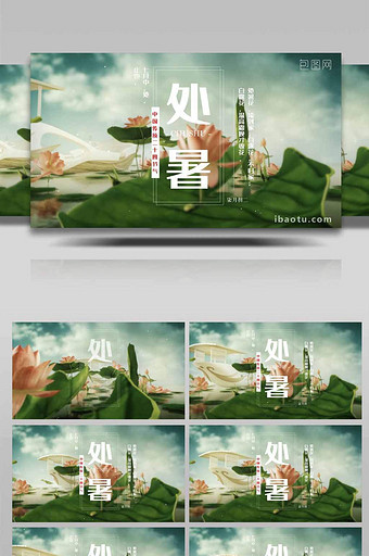 中国处暑二十四节气荷花池场景AE模板图片
