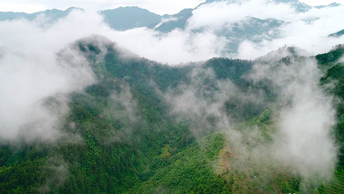 航拍云雾缭绕的安徽山区