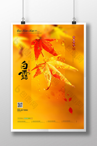 黄色枫叶摄影白露节气海报图片