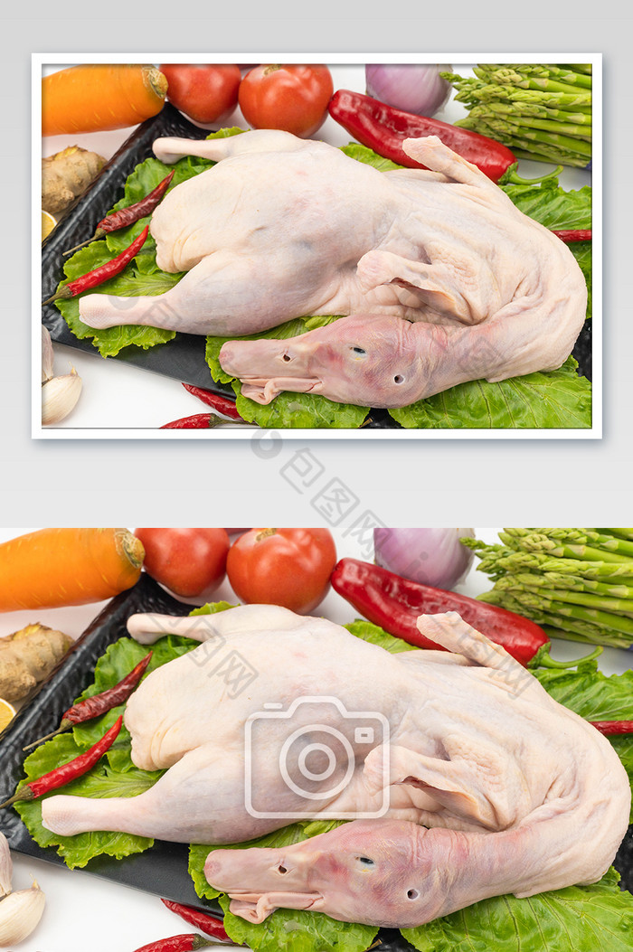 鸭子食材高清摄影图图片图片