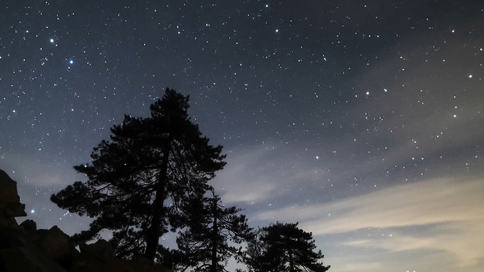 星空下安徽黄山松延时