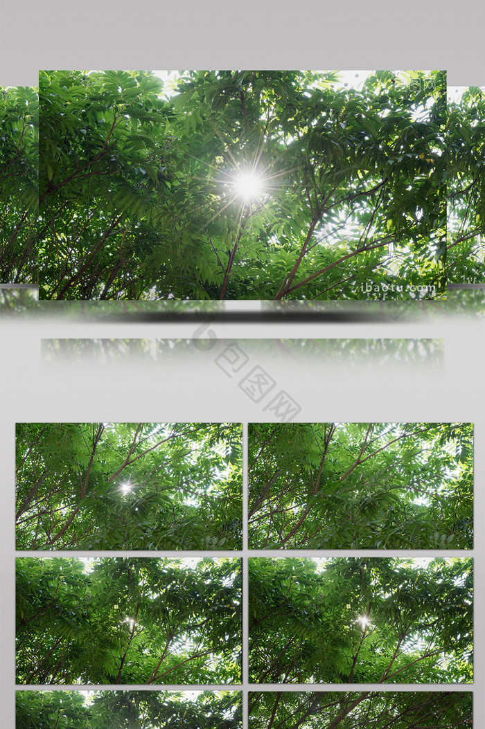 清新4K阳光透过树林企业宣传片视频素材