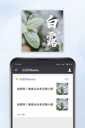 雨后植物叶子露水露珠白露节气公众号小图