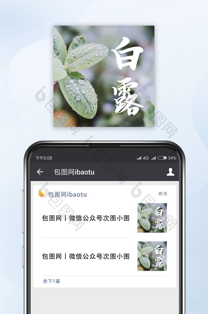 雨后植物叶子露水露珠白露节气公众号小图