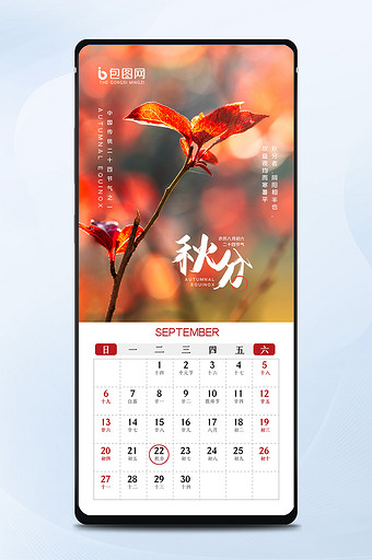 秋天大气红色唯美枫叶24节气秋分手机海报图片