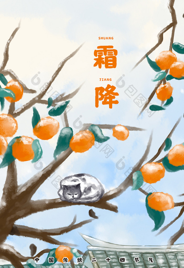 霜降节气柿子与猫插画海报