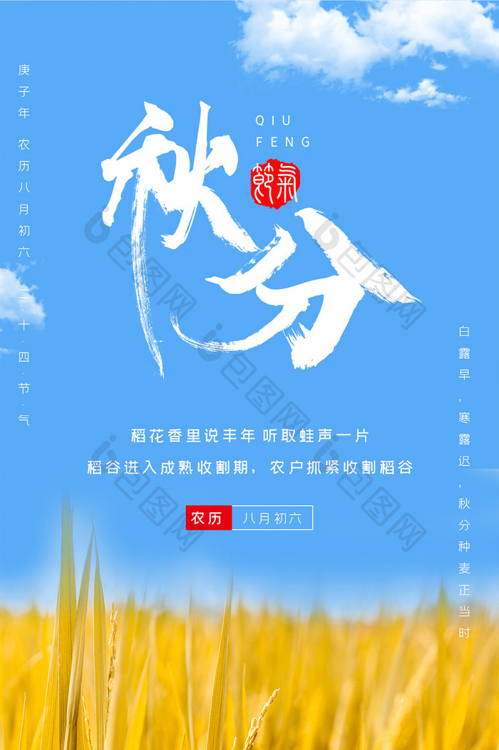 蓝色小清新秋分节气农作物水稻丰收手机配图