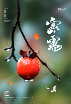 中国风柿子24节气寒露图片