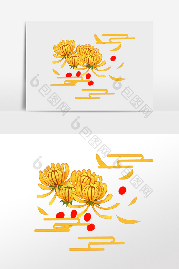 九月九重阳节菊花