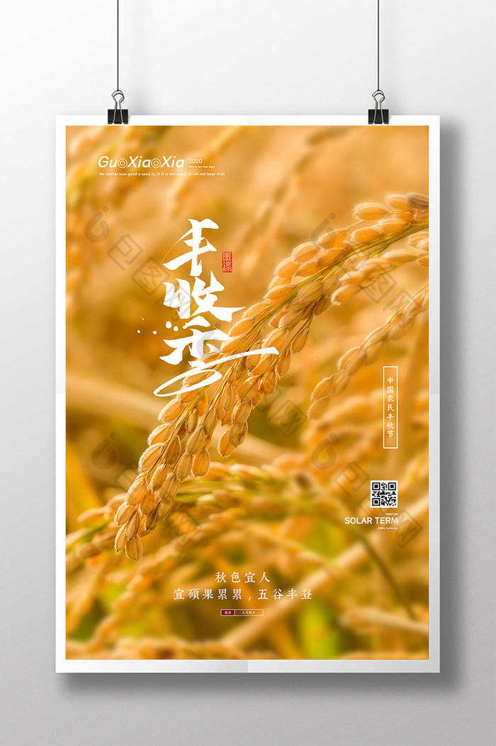 成熟的稻子中国农民丰收节图片图片