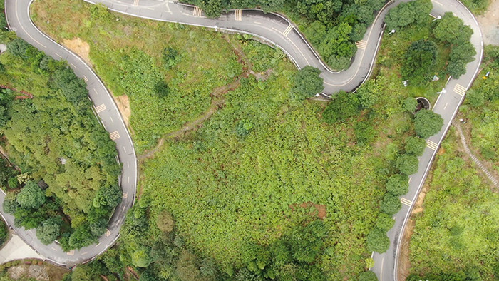 俯拍国家森林公园嵩云山蜿蜒山路