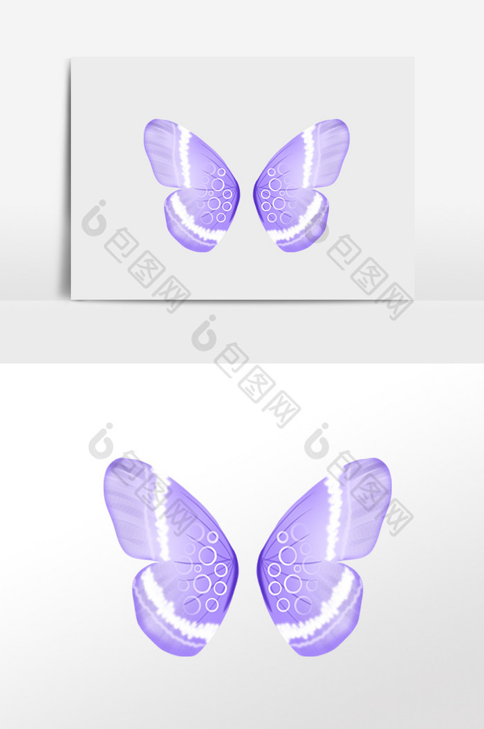 唯美紫色蝴蝶翅膀