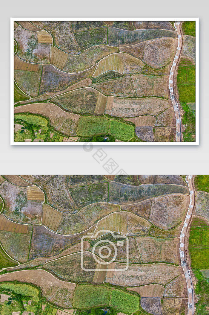 俯拍农业种植农田摄影图片图片