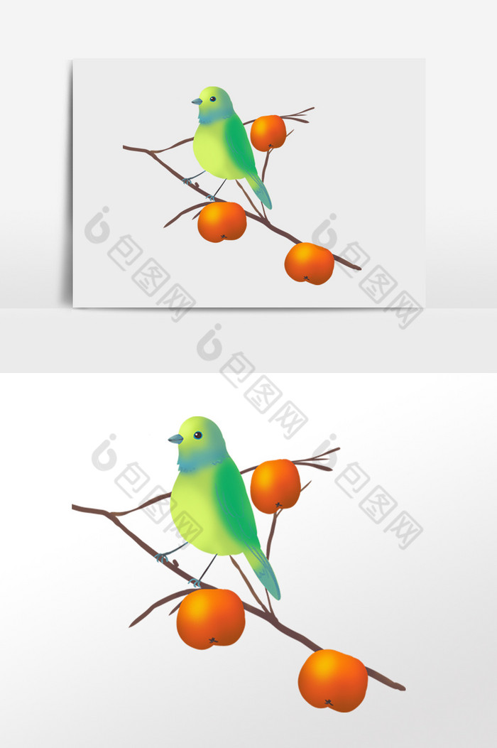 霜降柿饼柿子树上小鸟图片图片
